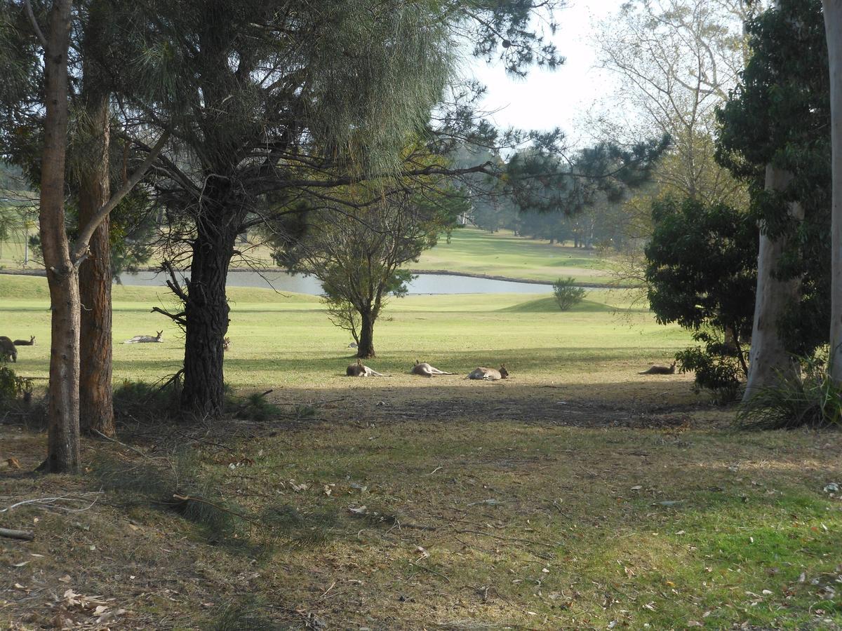 سانكشوري بوينت Golf View Motel المظهر الخارجي الصورة